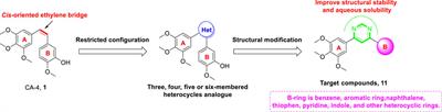 Design, synthesis, and bioevaluation of diarylpyrimidine derivatives as novel microtubule destabilizers